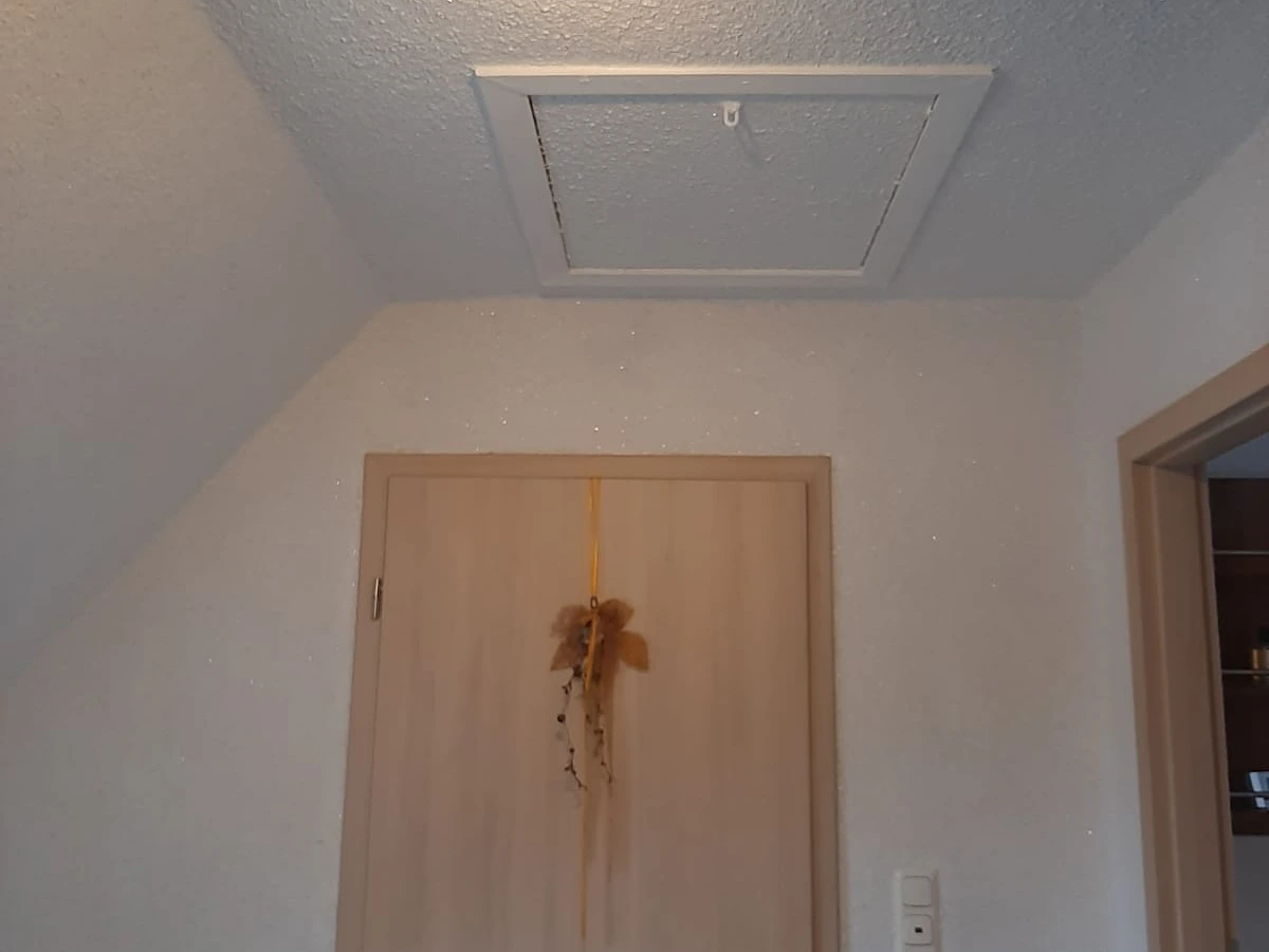 Flüssigtapete Deluxe 41 aus dem Baumwollputz-Shop