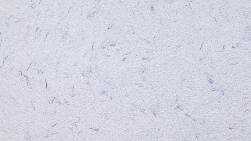 Baumwollputz Economy 8