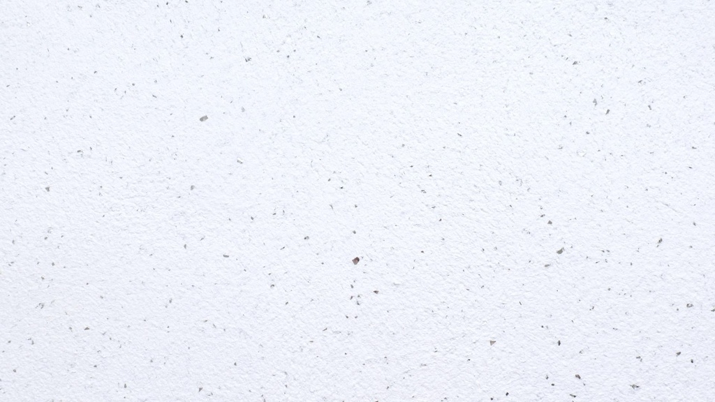 Baumwollputz Basis Edelweiß 8