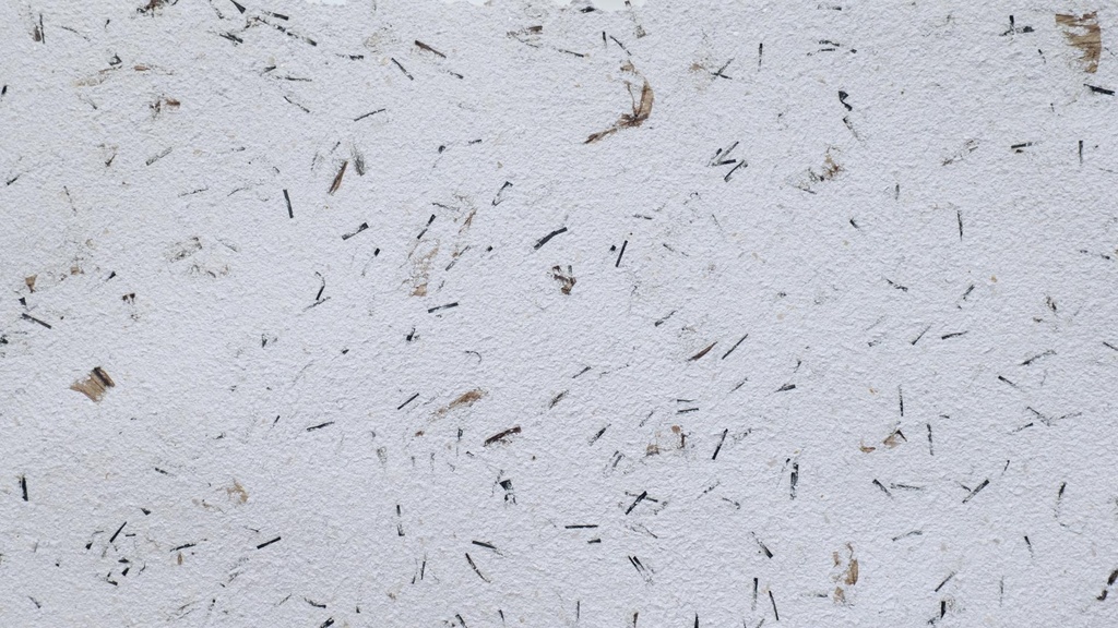 Baumwollputz Economy 10 Musterkarte